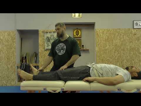 Видео: СТОДЕНЬ - серия 1