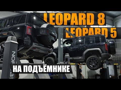 Видео: Сравниваем Leopard 8 и Leopard 5 на подъемнике - есть ли разница?