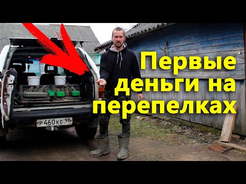 Видео: Мой первый заработок на перепелках. Крыльцо во всю длину дома.