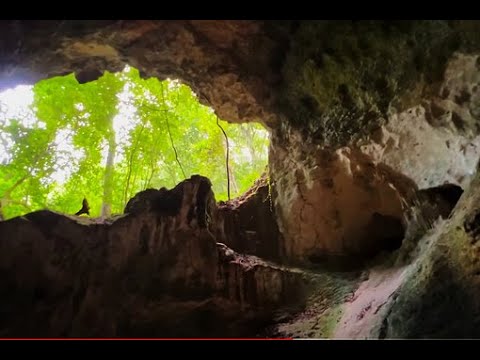 Видео: БЛЕСК и НИЩЕТА Доминиканы! Мангровые заросли, древние пещеры и хамство наших людей,,,