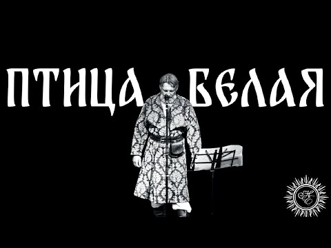 Видео: ПТИЦА БЕЛАЯ/ПЕРЕЛЁТНЫЕ/НИКОЛАЙ ЕМЕЛИН/NIKOLA EMELIN