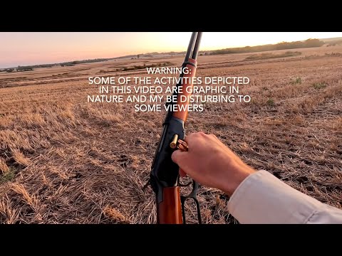 Видео: 30-30 ковбойское ружье в действии + пристрелка с помощью механического прицела