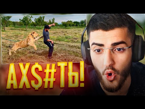 Видео: РЕНАТКО СМОТРИТ - НАПАДЕНИЕ ЛЬВА НА ЛЮДЕЙ!😱| VLOG В МИРЕ ЖИВОТНЫХ