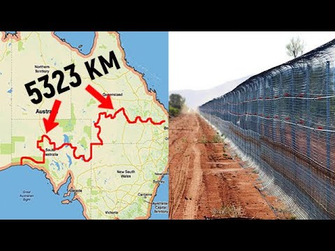 Видео: Зачем австралийцы построили самый длинный забор в мире?!
