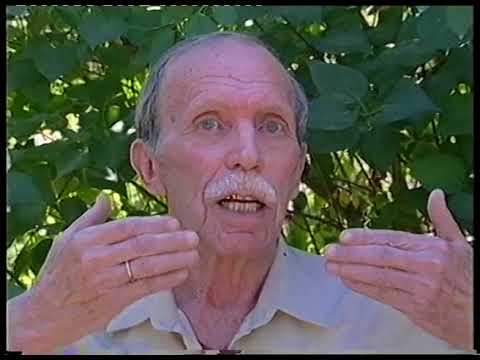 Видео: Евгений Васильевич Кузин  - кинорежиссёр, кинооператор.