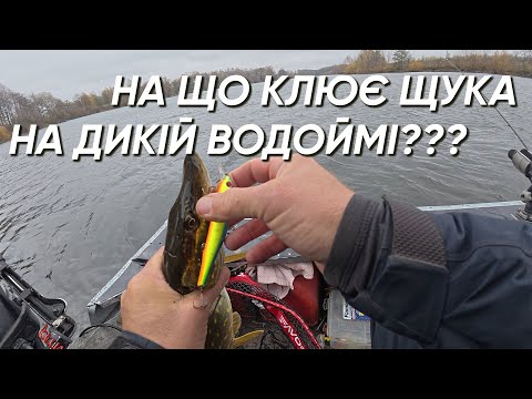 Видео: ✅ОСЕННЯ ЩУКА ПЕРЕБИРАЕТ ВОБЛЕРА✅КЛЮЧ ПОДОБРАНО! ОСЕННИЙ ЖОР ЩУКИ! ДИКАЯ ВОДОЙМА РАЗДАЕТ!!!