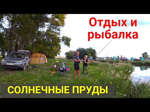Видео: Отдых и рыбалка на базе "Солнечные пруды"!