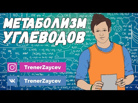 Видео: 01. Метаболизм углеводов