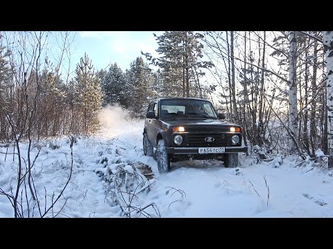 Видео: УЖЕ В ТЕМНОТЕ Я ЕГО ДОБЫЛ. НА ТЕТЕРЕВИНУЮ ОХОТУ НА НИВЕ.
