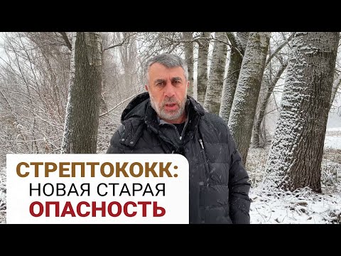 Видео: Стрептококк: новая старая опасность (English subs)