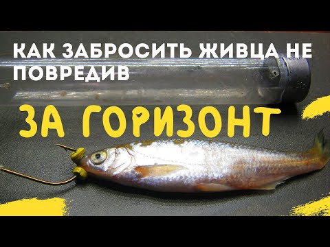 Видео: .- РЫБАЛКА  на ЖИВЦА   --РЫБОЛОВНЫЕ СЕКРЕТЫ --