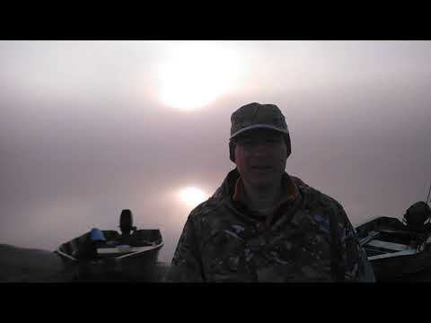 Видео: Рыбалка на Печоре 2020