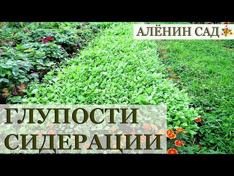 Видео: ГЛУПОСТИ СИДЕРАЦИИ или почему сидераты вам вообще не нужны!