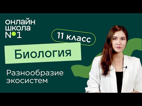 Видео: Разнообразие экосистем. Биология 11 класс. Видеоурок 28