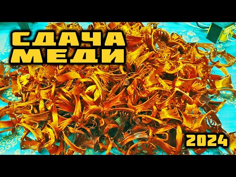 Видео: СДАЧА МЕДИ 2024 (1/4)
