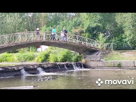 Видео: Петрозаводск.  22.08.25. " Скоро осень...."
