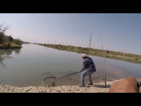 Видео: Балик, ови. Саркисов канали.Шурбулок,сой.Янгиер 16-17.09.2024