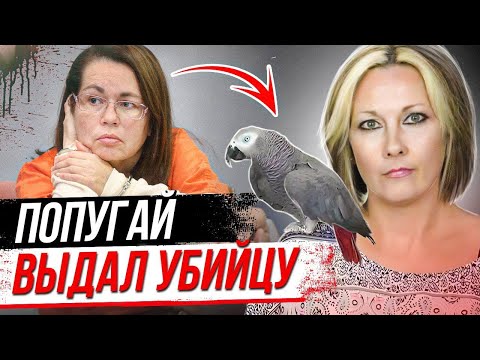 Видео: Неожиданный свидетель помог раскрыть дело! История Мартина Дюрама