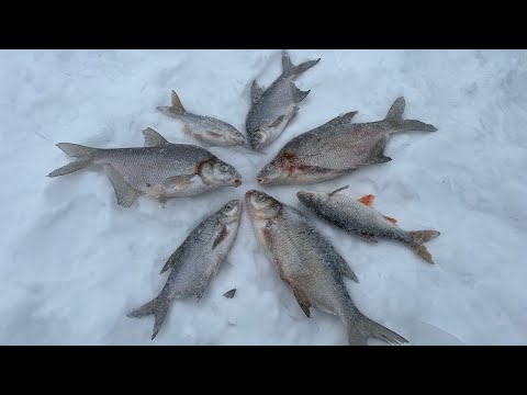 Видео: Глухозимье!? Как поймать пассивную рыбу при сломе погоды в Феврале. Ловля на безмотылку зимой.
