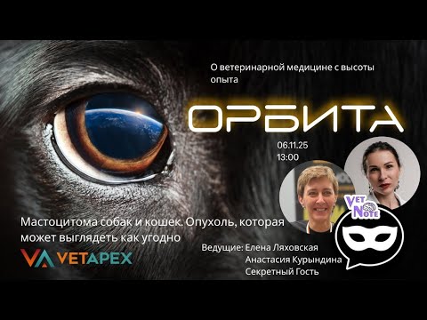Видео: "ОРБИТА" с онколагами Еленой Ляховской, Анастасией Курындиной и их СЕКРЕТНЫМ ГОСТЕМ!