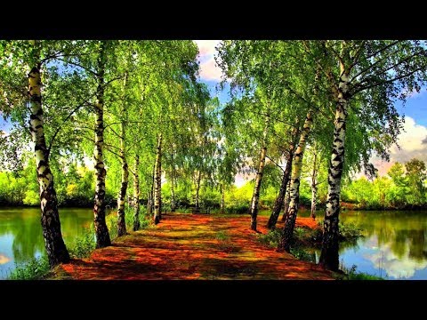 Видео: Содик Холов 2018 туёна  2