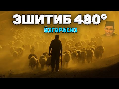 Видео: Дунёга нега келдинг билиб ол! ~Абдуллох Домла ~Abdulloh Domla° #abdullohdomla #rek #namoz #zikr