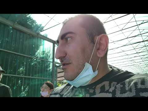 Видео: ОрхоРай в гостях у Young Home Orchids!
