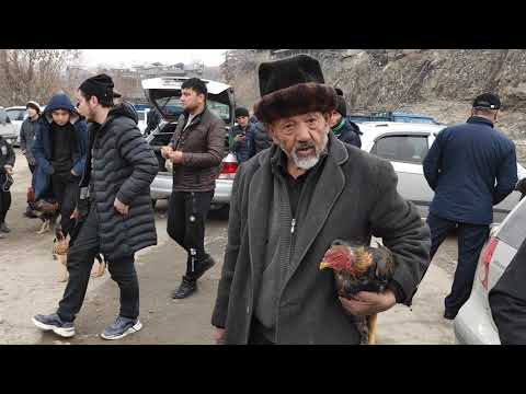 Видео: АКСАКАЛ айтат:  50 жылдан бери ДАКАН багам, бул - ХОББИ