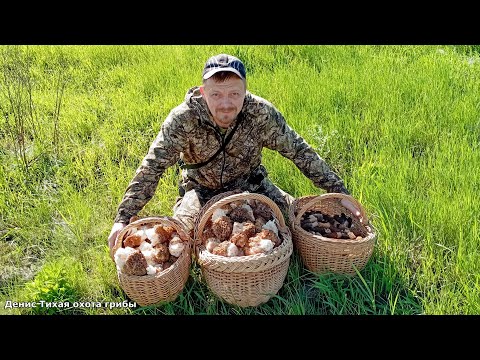 Видео: Степные гиганты - это просто сморчковый клондайк | ГРИБЫ 2023