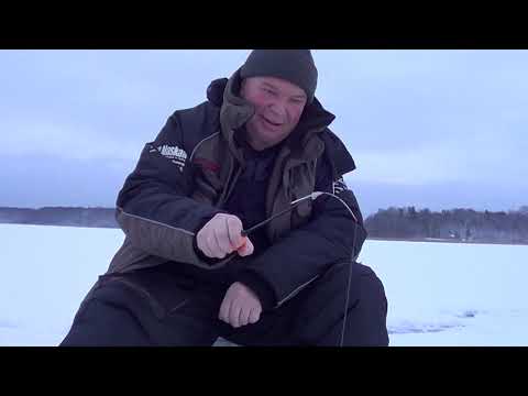 Видео: Как ловить плотву, чебака зимой? Тонкости ловли плотвы со льда зимой. Прикормка плотвы зимой.