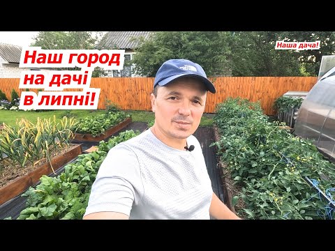 Видео: Город на нашій дачі в липні. Що та як росте на нашому городі.