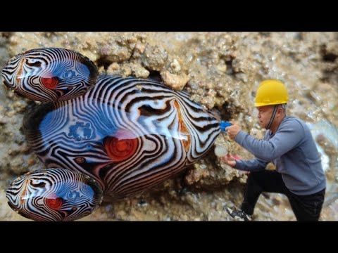 Видео: Странный драгоценный камень! Я выкопал вот такой агат с глазками и линиями