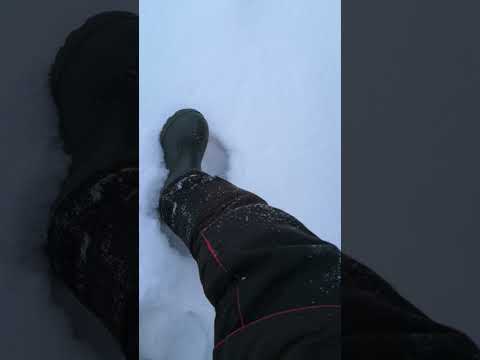 Видео: Буран 4тд максималка 70км/ч, кто сказал что буран не едет?)))