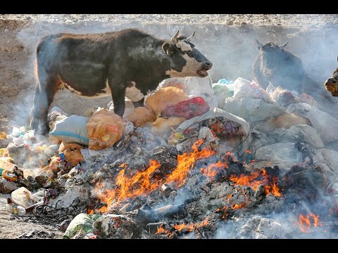 Видео: Мусорный коллапс СТЗ Чарвак! Поселок Амирсай, Чимган и окрестности! ПРО "ГЕНИЕВ" БОСТАНЛЫКА!