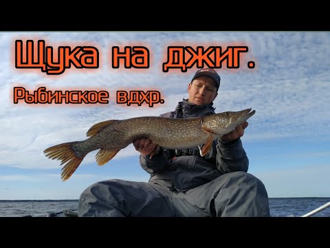 Видео: Ловля щуки на джиг на Рыбинском водохранилище.Щука клюет с каждого заброса.Рыбалка осенью на Рыбинке