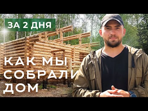 Видео: Дом из бревна. Сборка сруба. Деревянный дом на сваях из бревна под усадку.