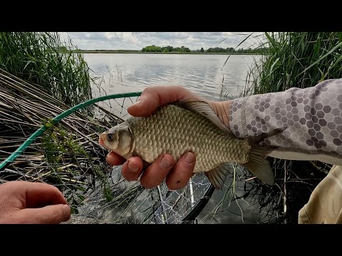Видео: Тісто яке ловить усю рибу. Herabuna / ХЕРАБУНА