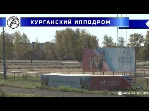 Видео: 04.10.2025 - Заезд 2: Приз "ИППИКА" для лошадей орловской рысистой породы 3-х лет. Дистанция 2400 м
