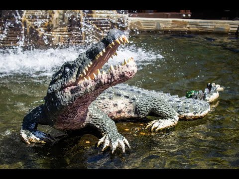 Видео: Юрий Шатунов. А вот и мотивчик нашелся.Хищник проголодался.