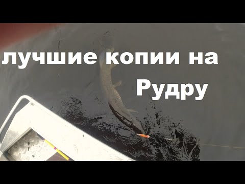 Видео: Лучшие копии на Рудру