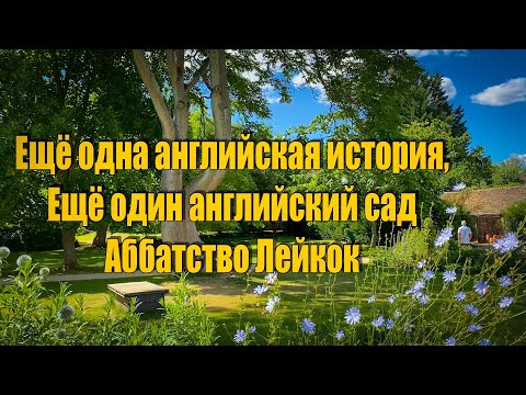 Видео: Vlog 513 - Что общего между Гордостью и предубеждением и Гарри Поттером???