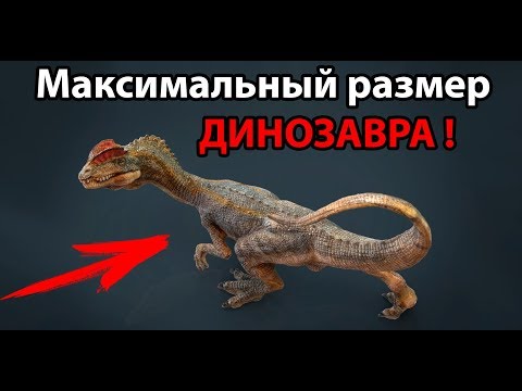 Видео: Максимальный размер ДИНОЗАВРА ! ( The Isle )