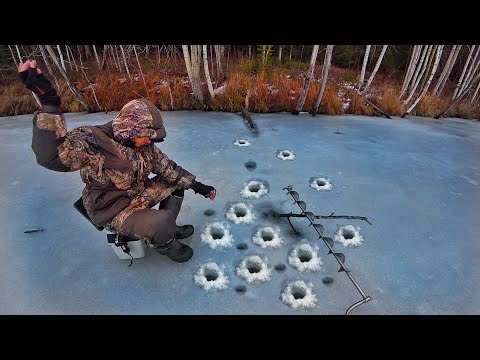 Видео: ПЕРВЫЙ ЛЁД. ПРОБУРИЛ ЛУНКИ У ДЕРЕВА И НЕ ПРОГАДАЛ. БЕЗМОТЫЛКА