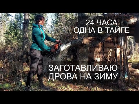 Видео: ЗЕМЛЯНКА в ТАЙГЕ. ЗАГОТОВКА ДРОВ на ЗИМУ.