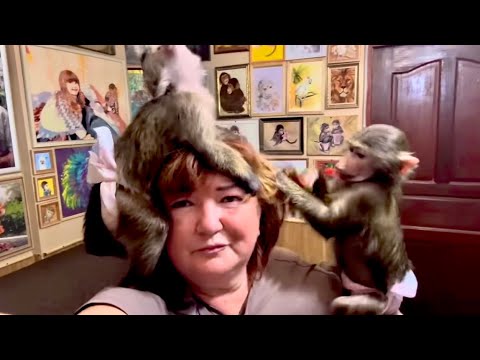 Видео: РУГАЮТСЯ! Отругала обоих, но ни на Финика, ни тем более на Анфису это не подействовало!