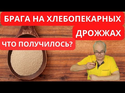 Видео: 100% нужно знать! 5 постулатов о браге на хлебопекарных дрожжах после перегонки самогона.