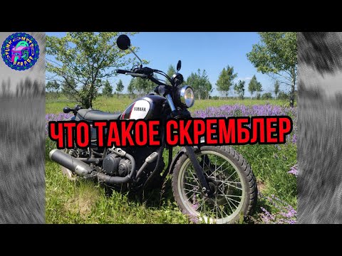 Видео: ЧТО ТАКОЕ СКРЕМБЛЕР!!!???