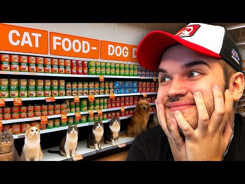 Видео: СТИГНА ХРАНА ЗА КУЧИЊА И МАЧИЊА!