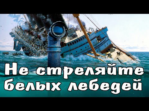 Видео: Не стреляйте белых лебедей.