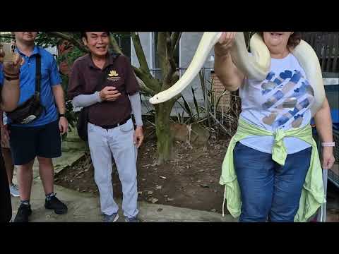 Видео: Във Виетнам с Марина 1част